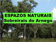 Espazos Naturais: sobreirais do Arnego